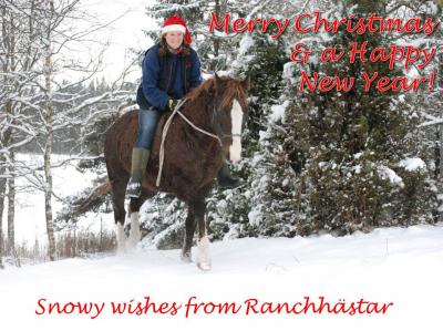julkort ranchhästar 2012